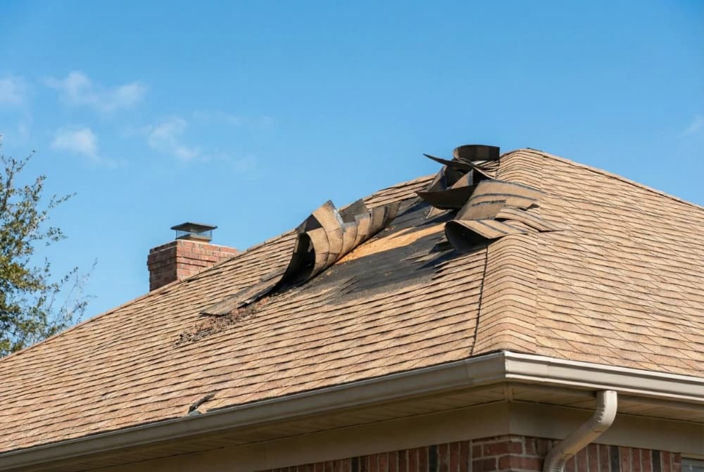 Mold Damage insurance claim