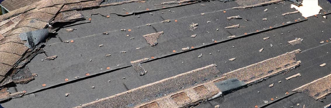 Hurricane Damage