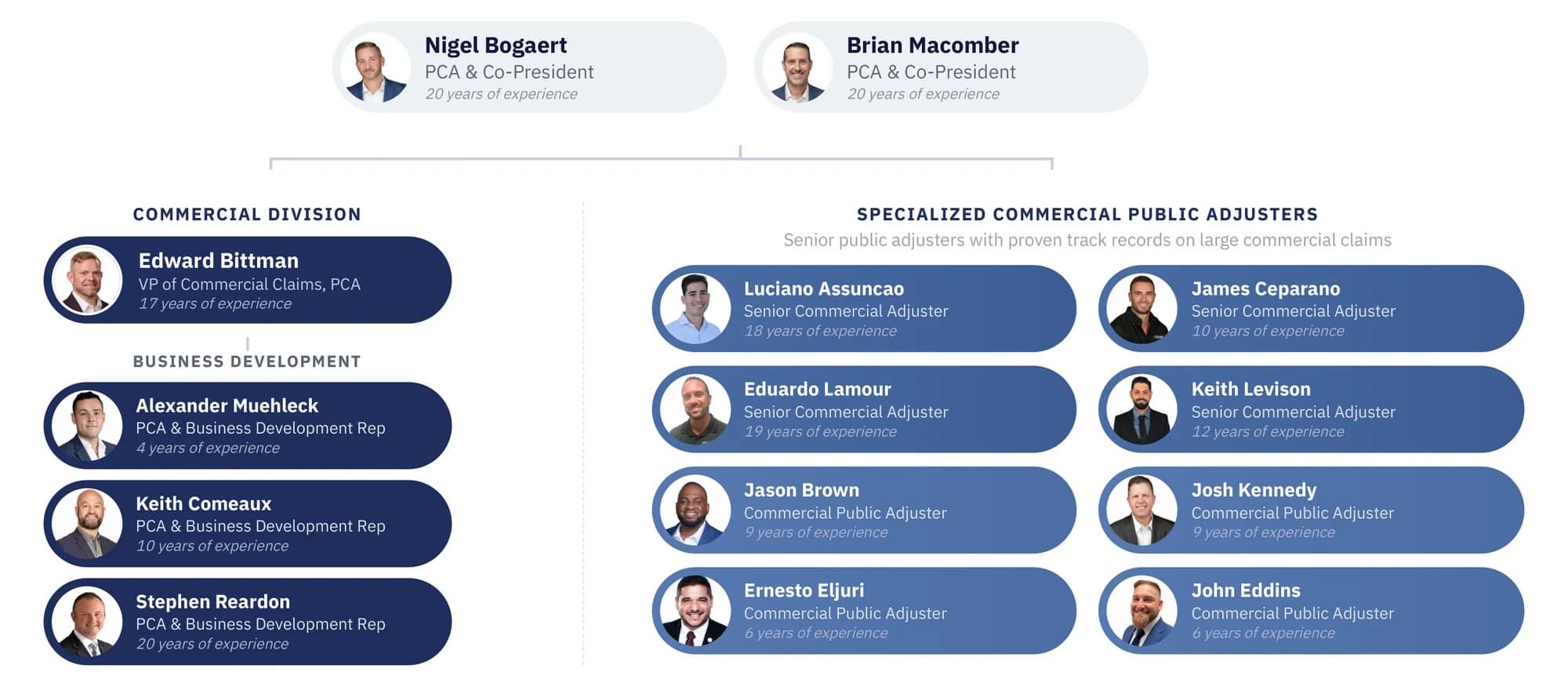 Five Star commercial team org chart