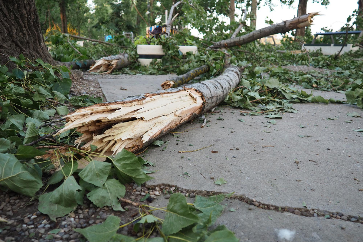 Why You Need a Public Adjuster for Your Storm Damage Claims