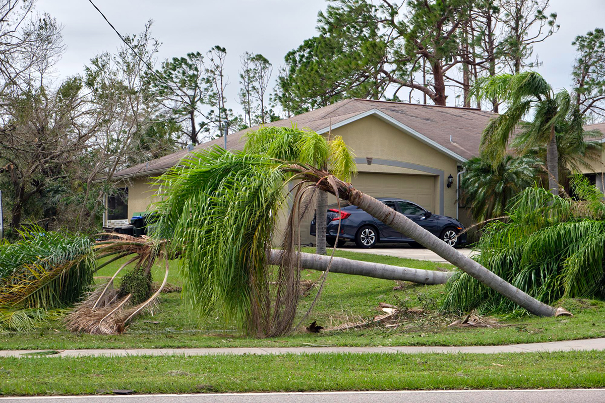 Why You Need a Public Claims Adjuster for Storm Damage Restoration