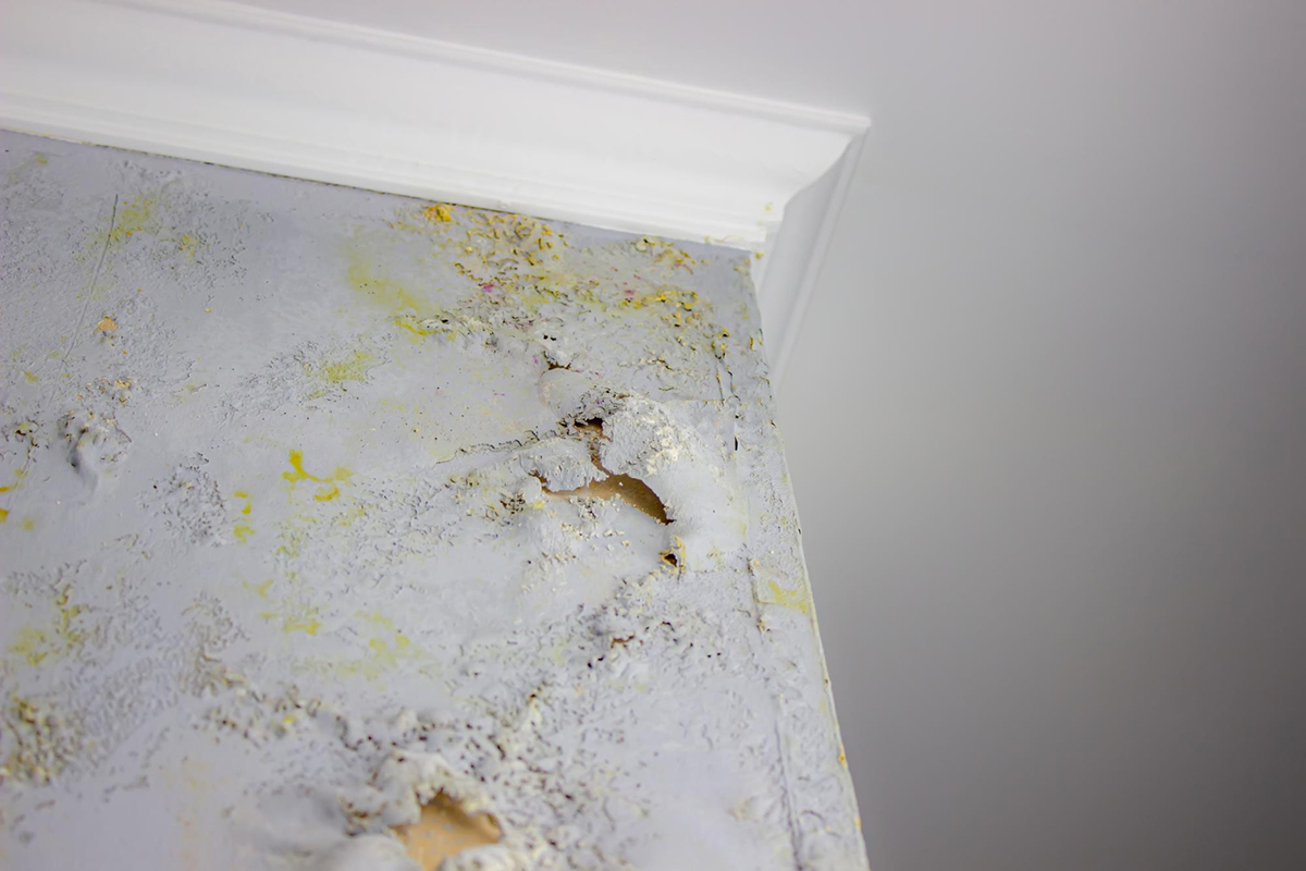 What You Need to Know About Mold from Water Damage