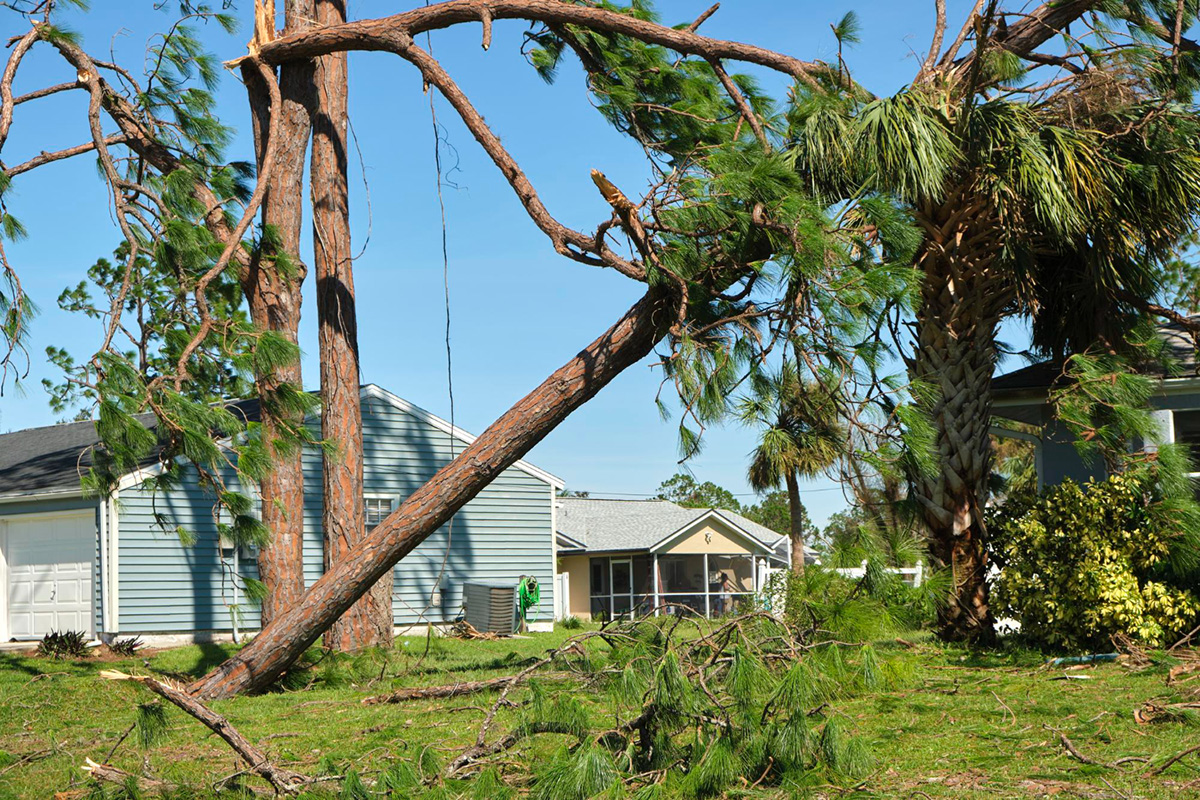 Benefits to Using Public Adjusters for Summer Hurricane Damage Claims